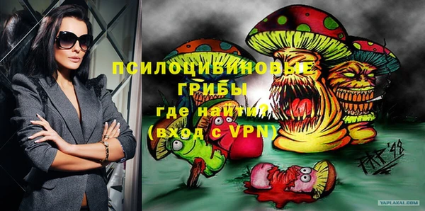 ешки Абинск