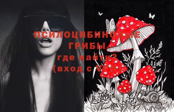 кокс Абдулино
